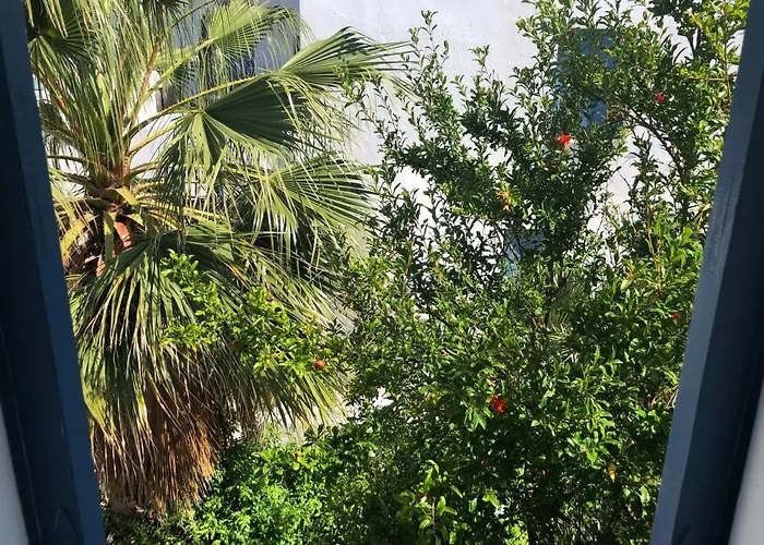 Rania Sea View Apart Otel Mykonos Town