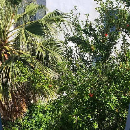 Rania Sea View Aparthotel Mykonos Town