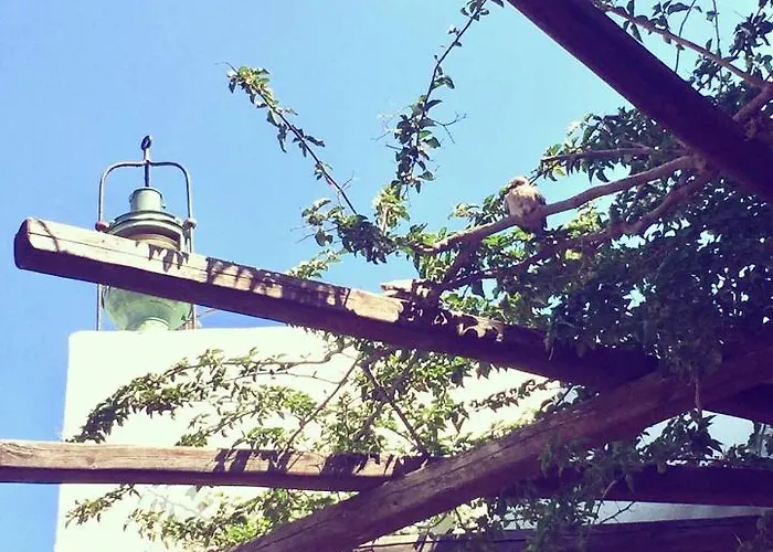 Hotel apartamentowy Rania Sea View